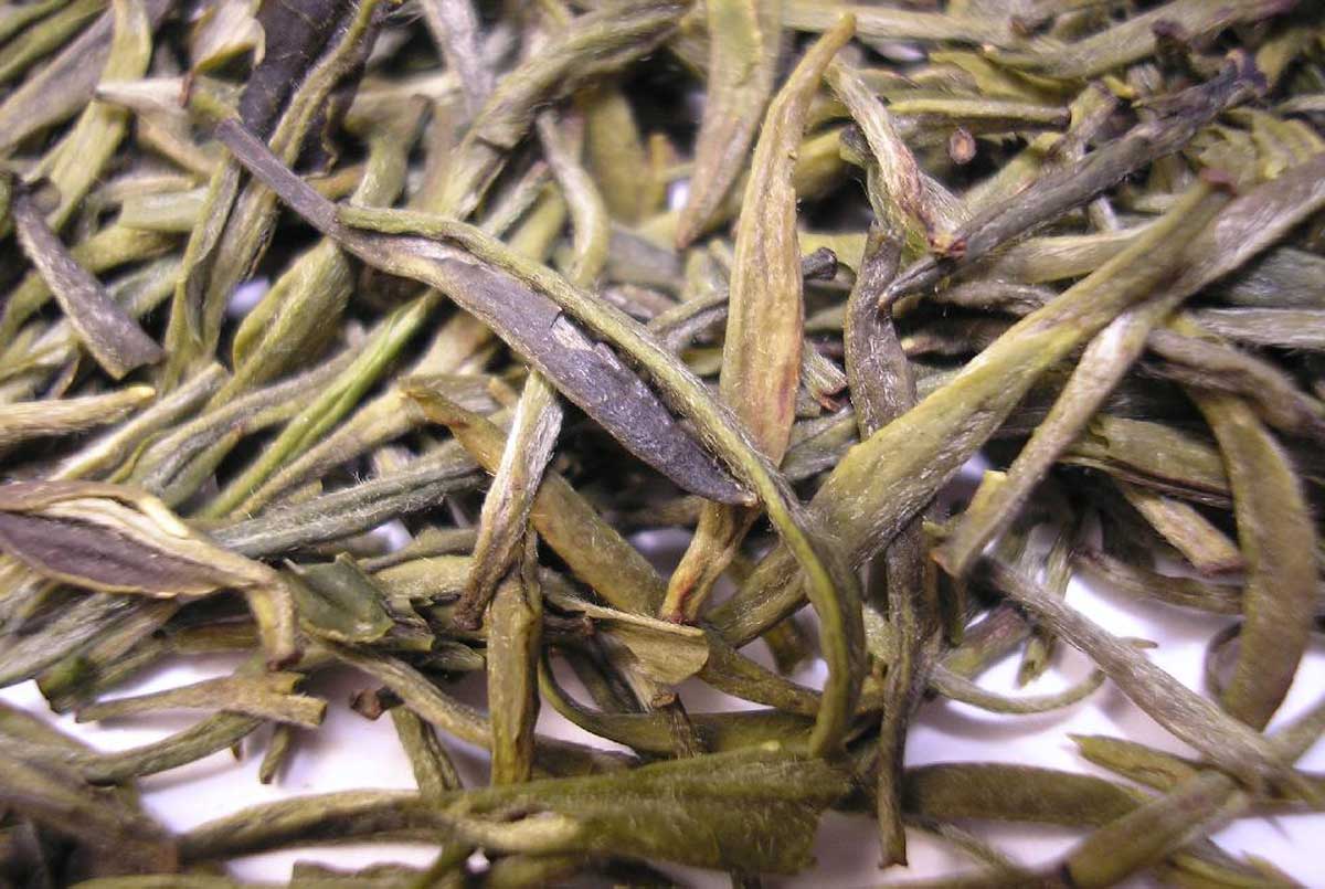 tea leaves green