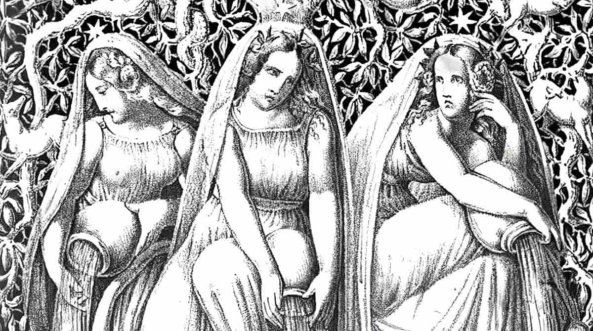 the Norns HISTORY