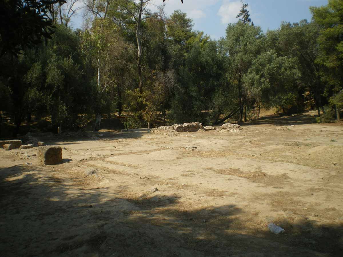 view remains Academy Author