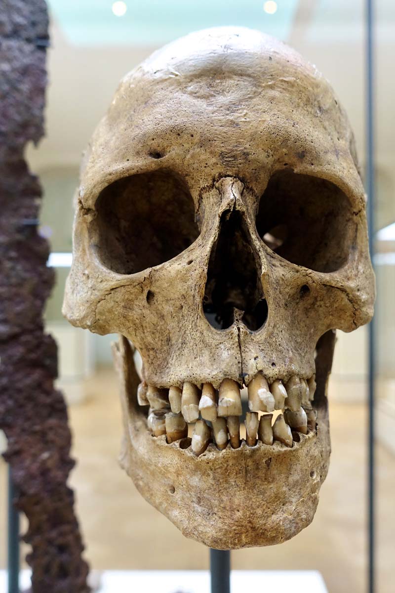 viking woman skull