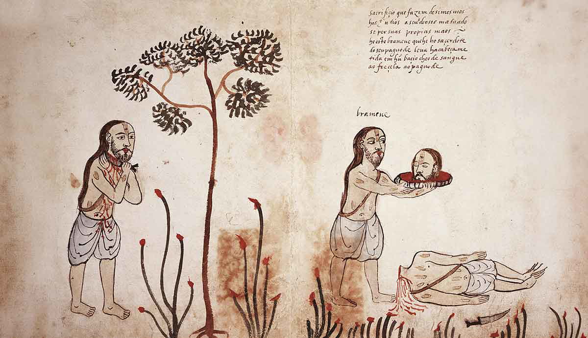 2 portuguese illustration