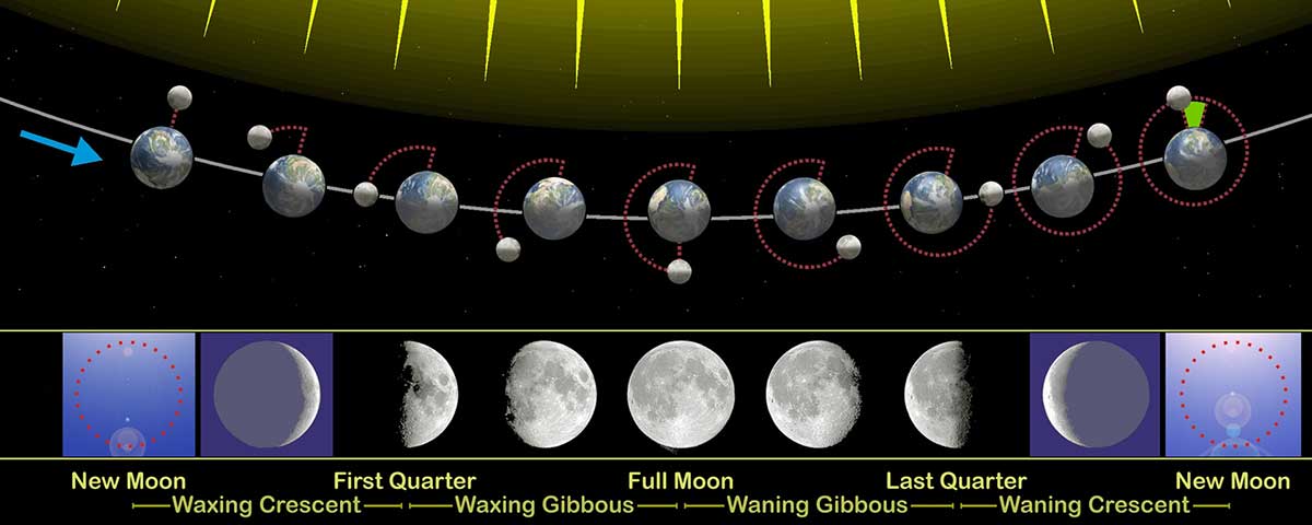 Moon phases illustration