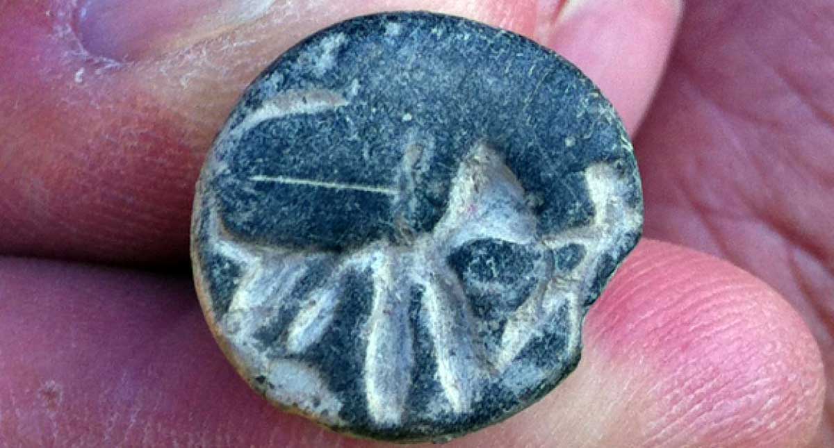 Samson Seal
