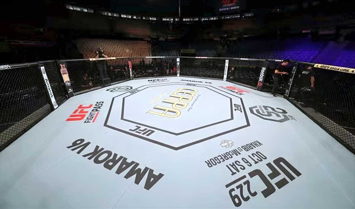 UFC OCTAGON