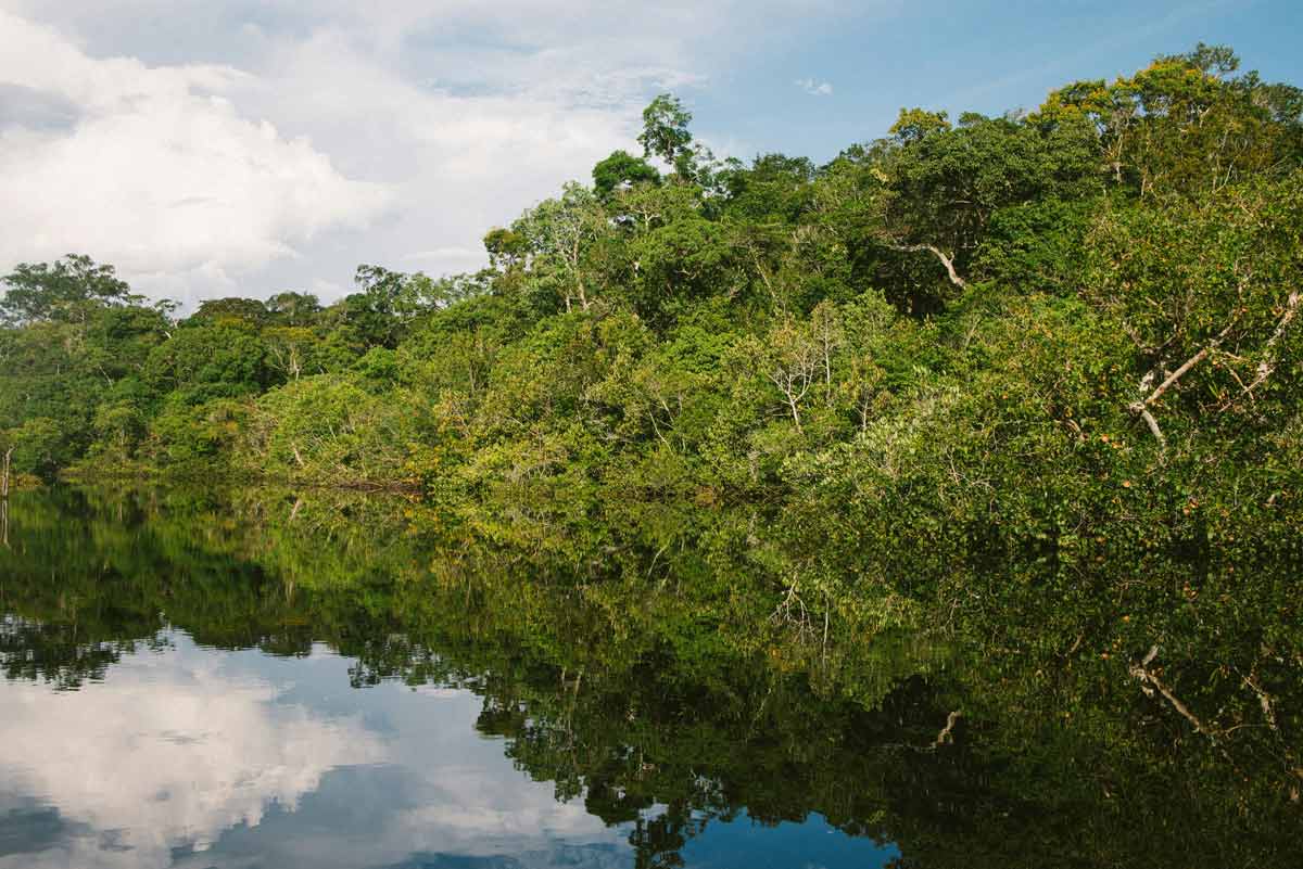 amazon brazil river