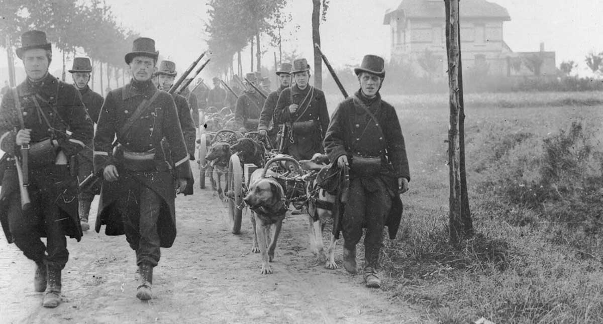 belgian troops with machine guns