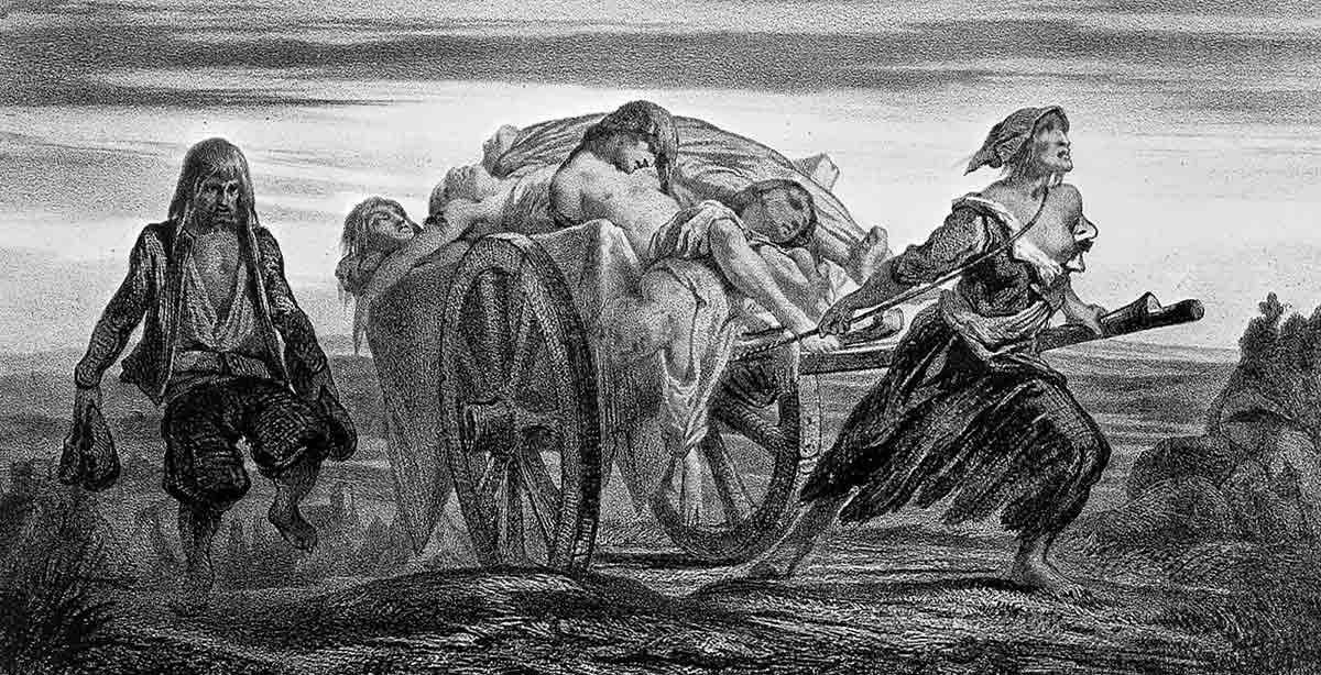 carting the dead moynet