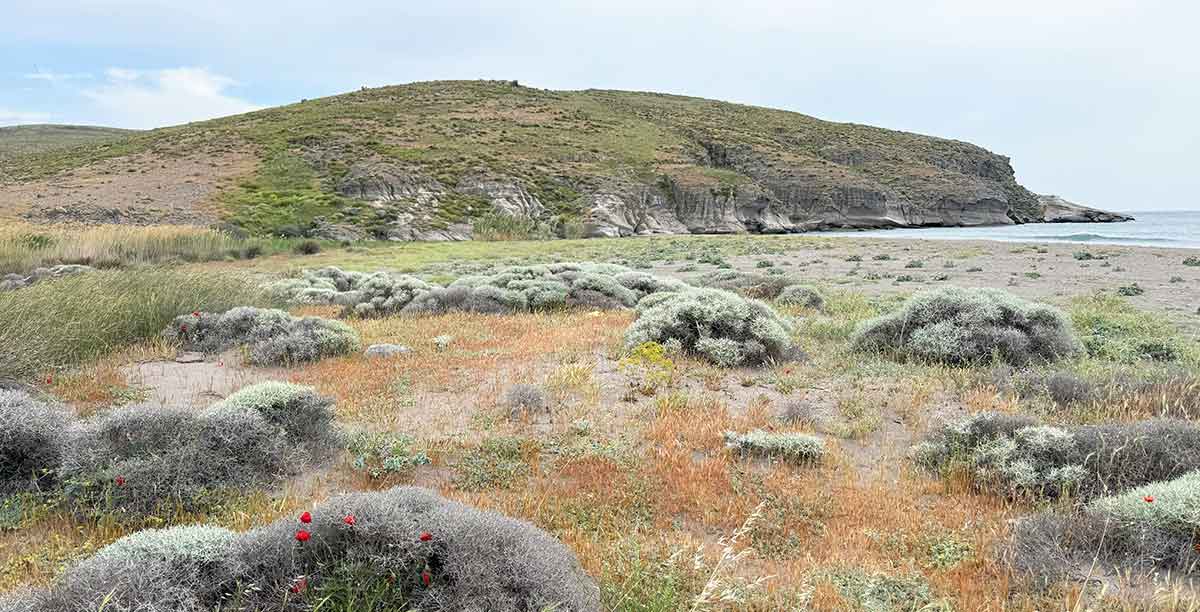 coastal plain lesbos