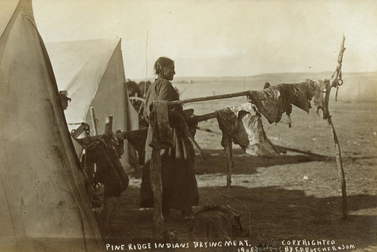 drying meat on pine ridge
