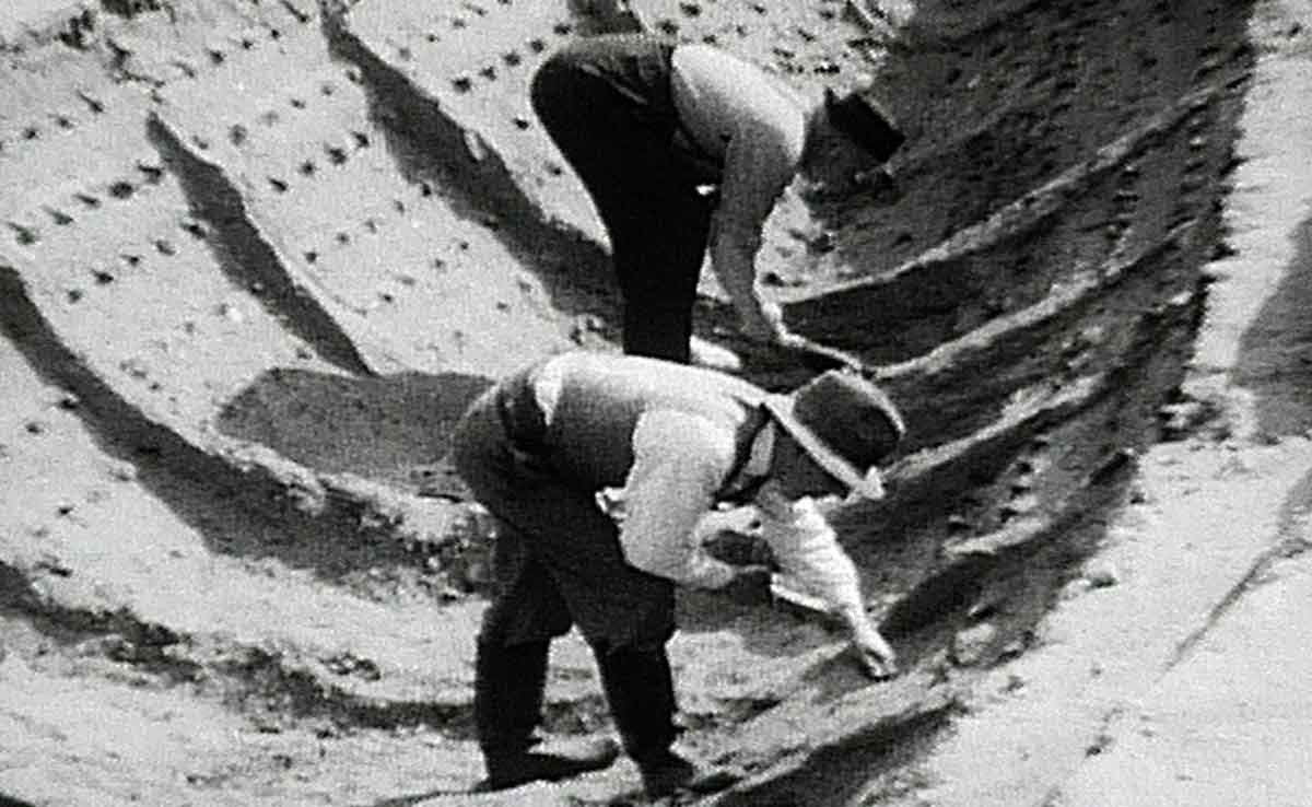 excavation sutton hoo
