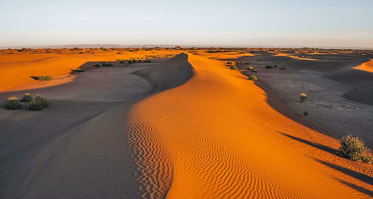 golden dunes of sahara