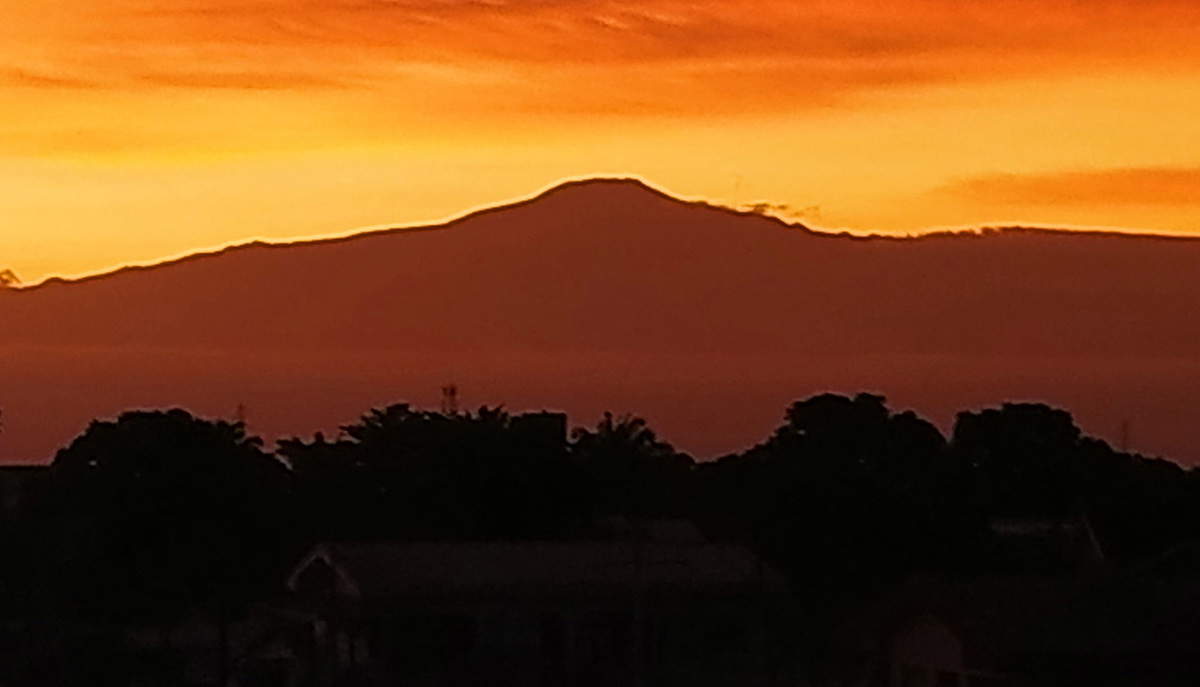 mount cameroon