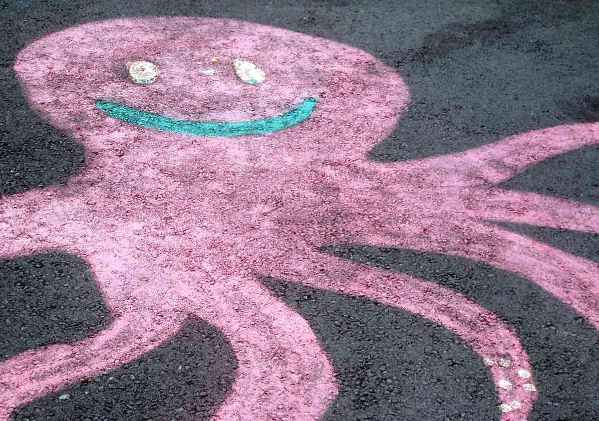 octopus chalk drawing