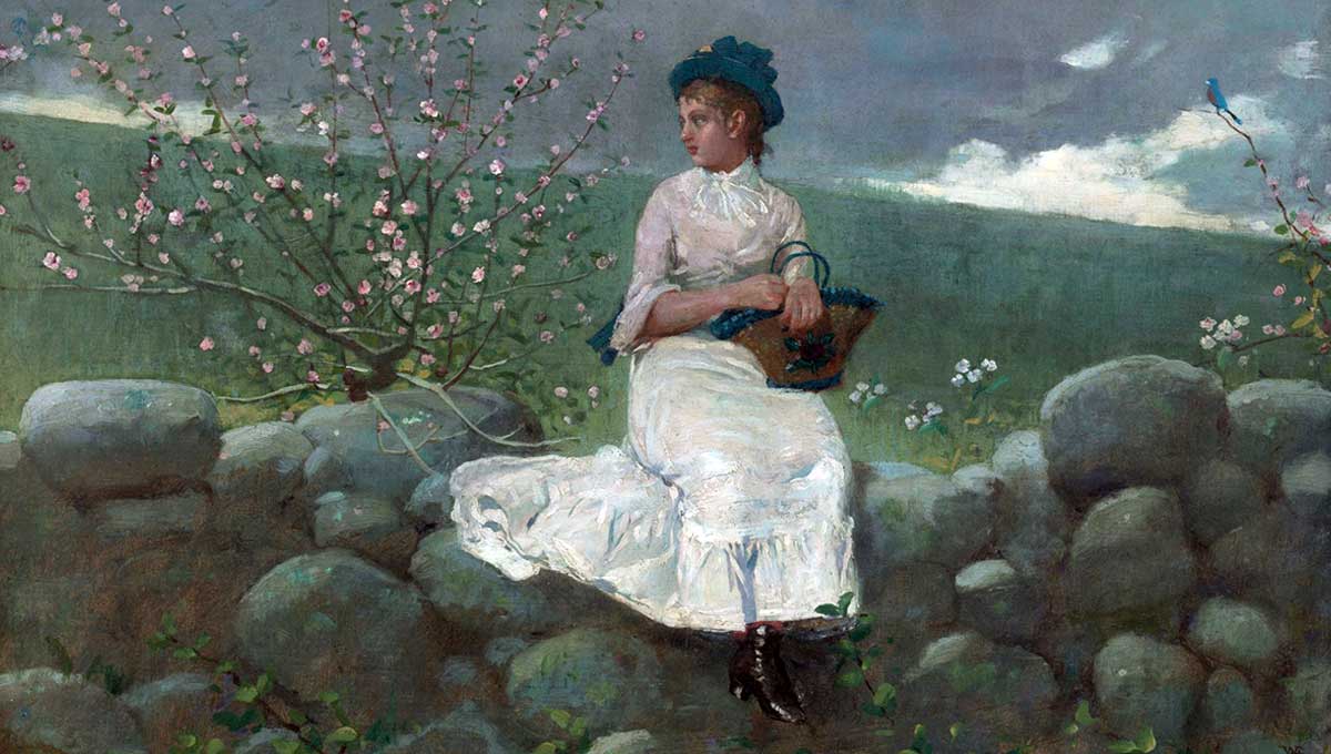 peach blossoms 1878 winslow homer chicago