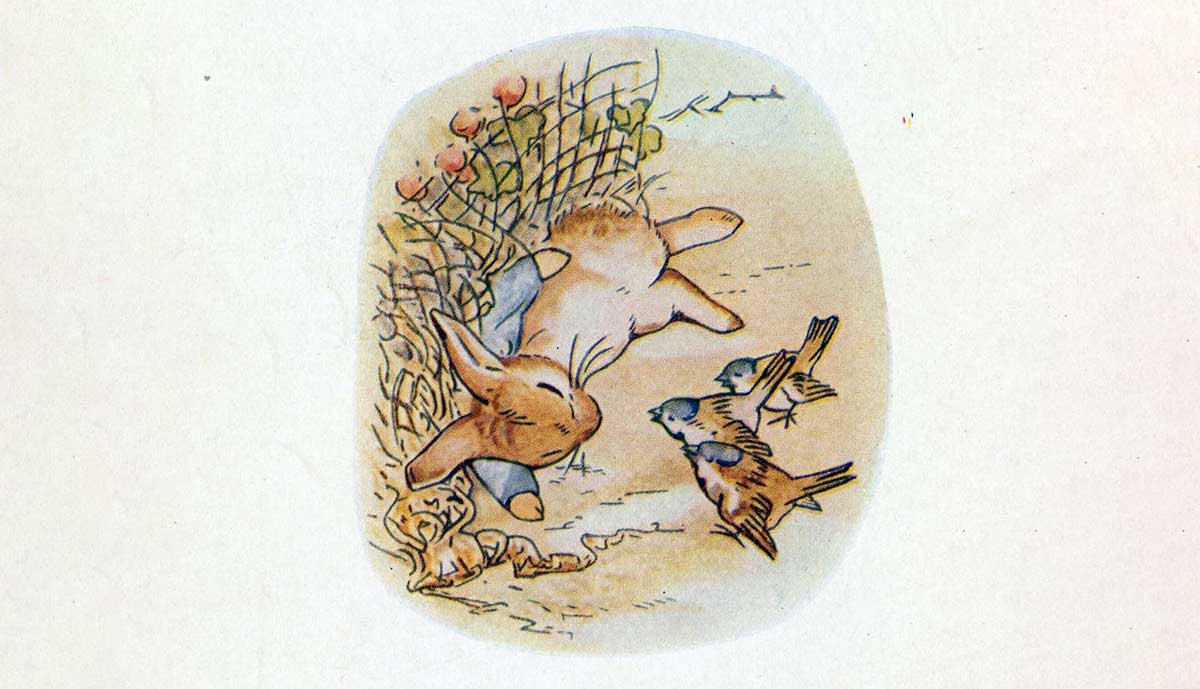 peter rabbit gave himself up for lost 1902