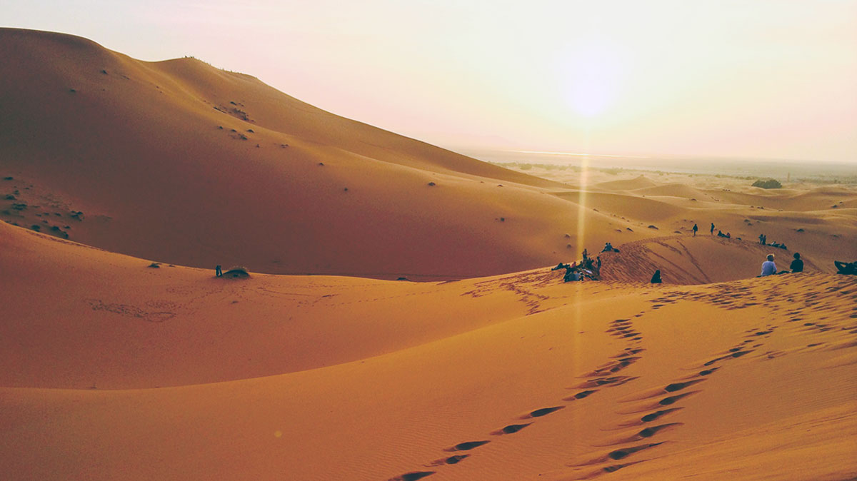sahara desert sunset