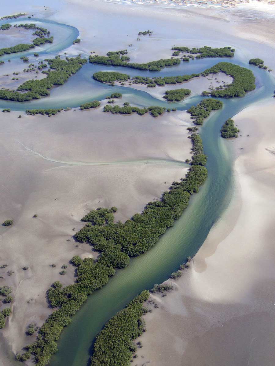 saloum delta