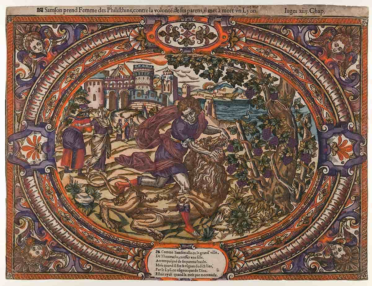 samson lion 1560 1580