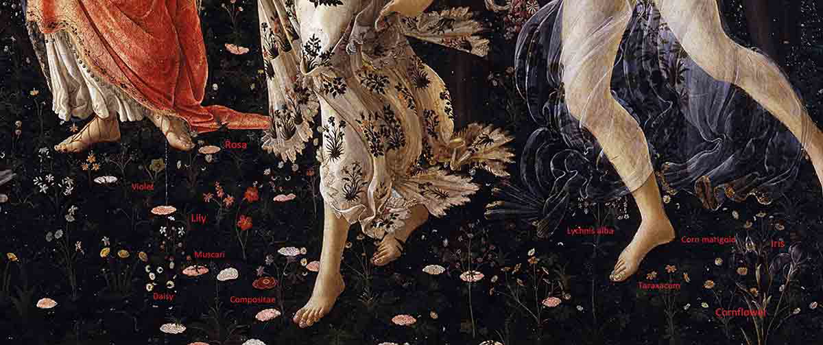 sandro botticelli primavera botanical species painting.jpg