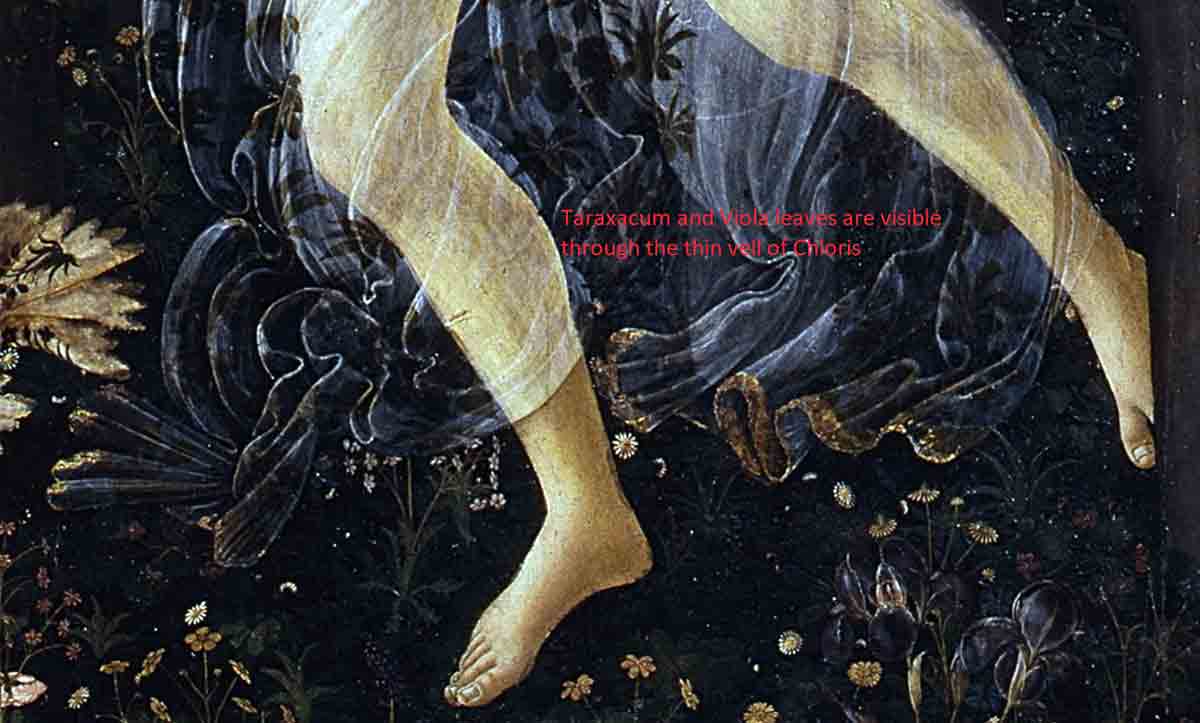 sandro botticelli primavera chloris veil painting.jpg