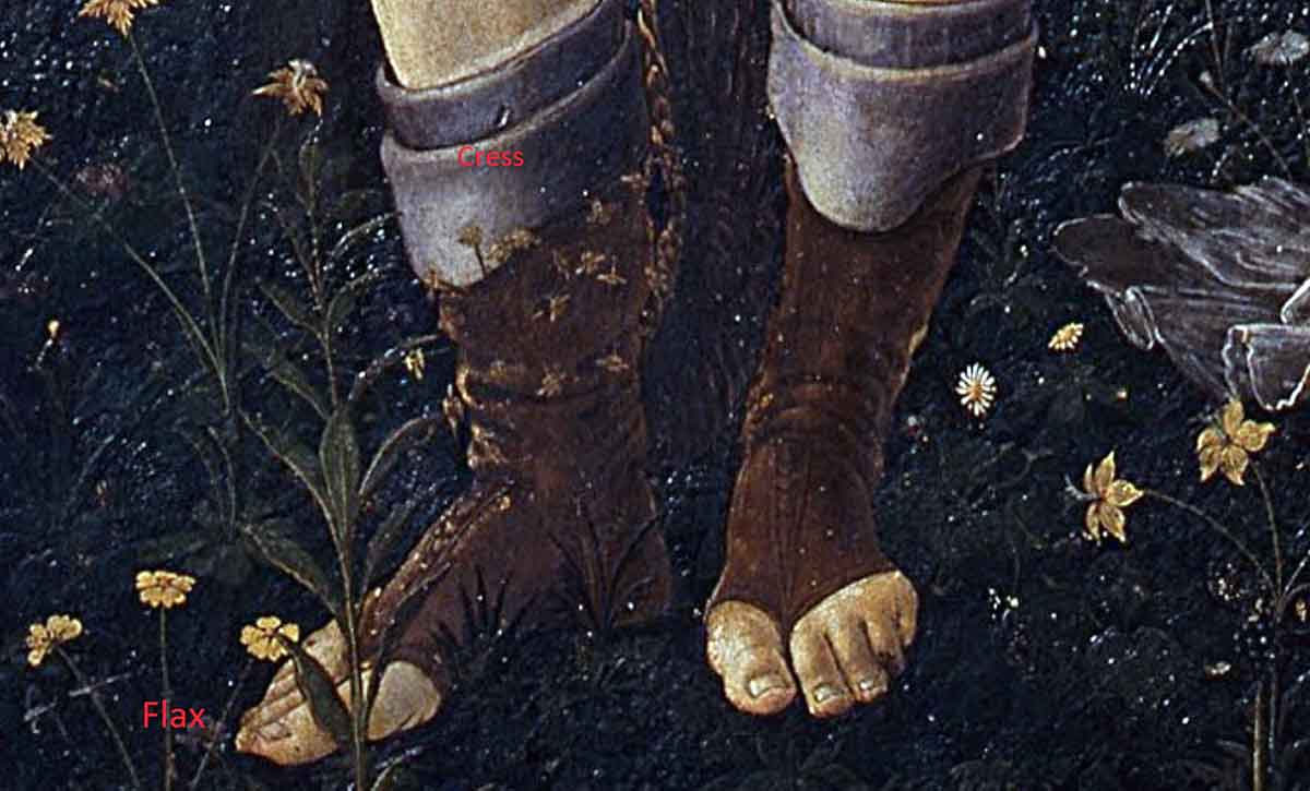 sandro botticelli primavera mercury shoes painting.jpg