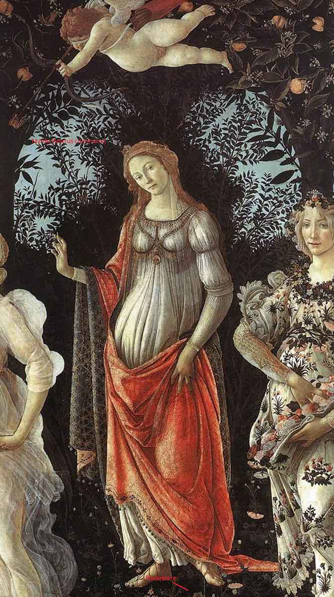 sandro botticelli primavera venus painting