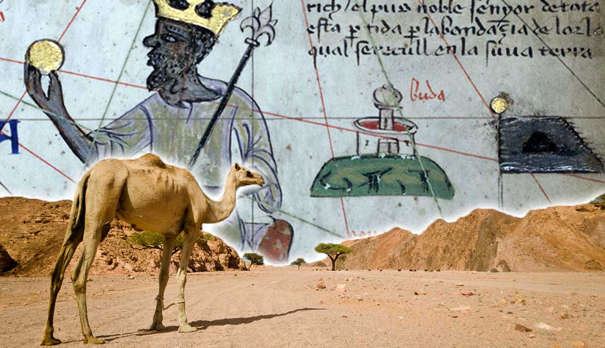 Mansa Musa map beside desert camel