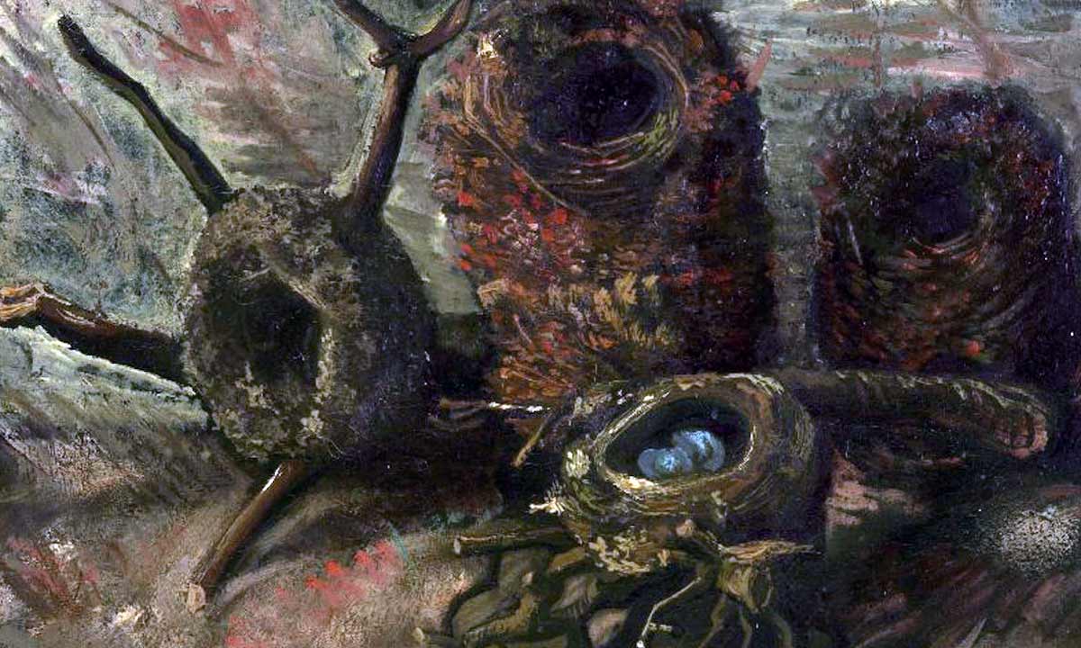 van gogh birds nests