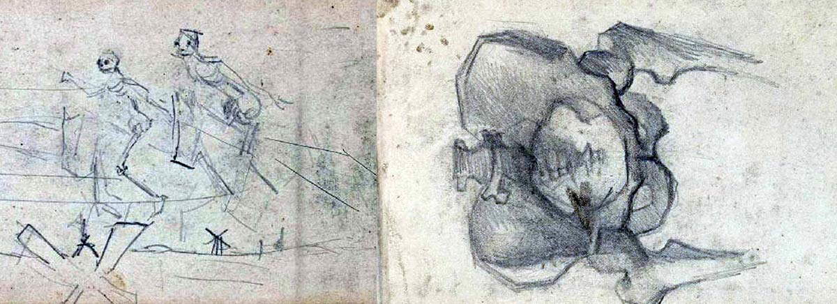 van gogh pelvis skeleton