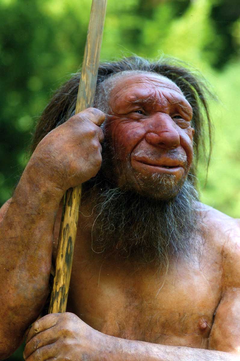 Homo sapiens neanderthalensis