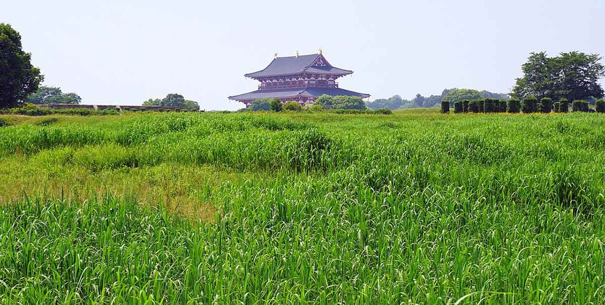 Nara ruins Japan