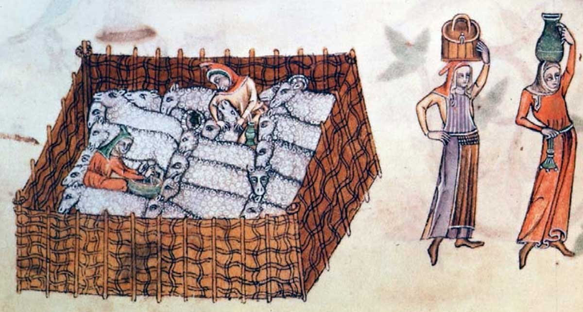 Sheep pen Luttrell Psalter
