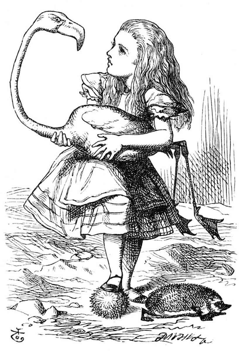 alice wonderland flamingo tenniel