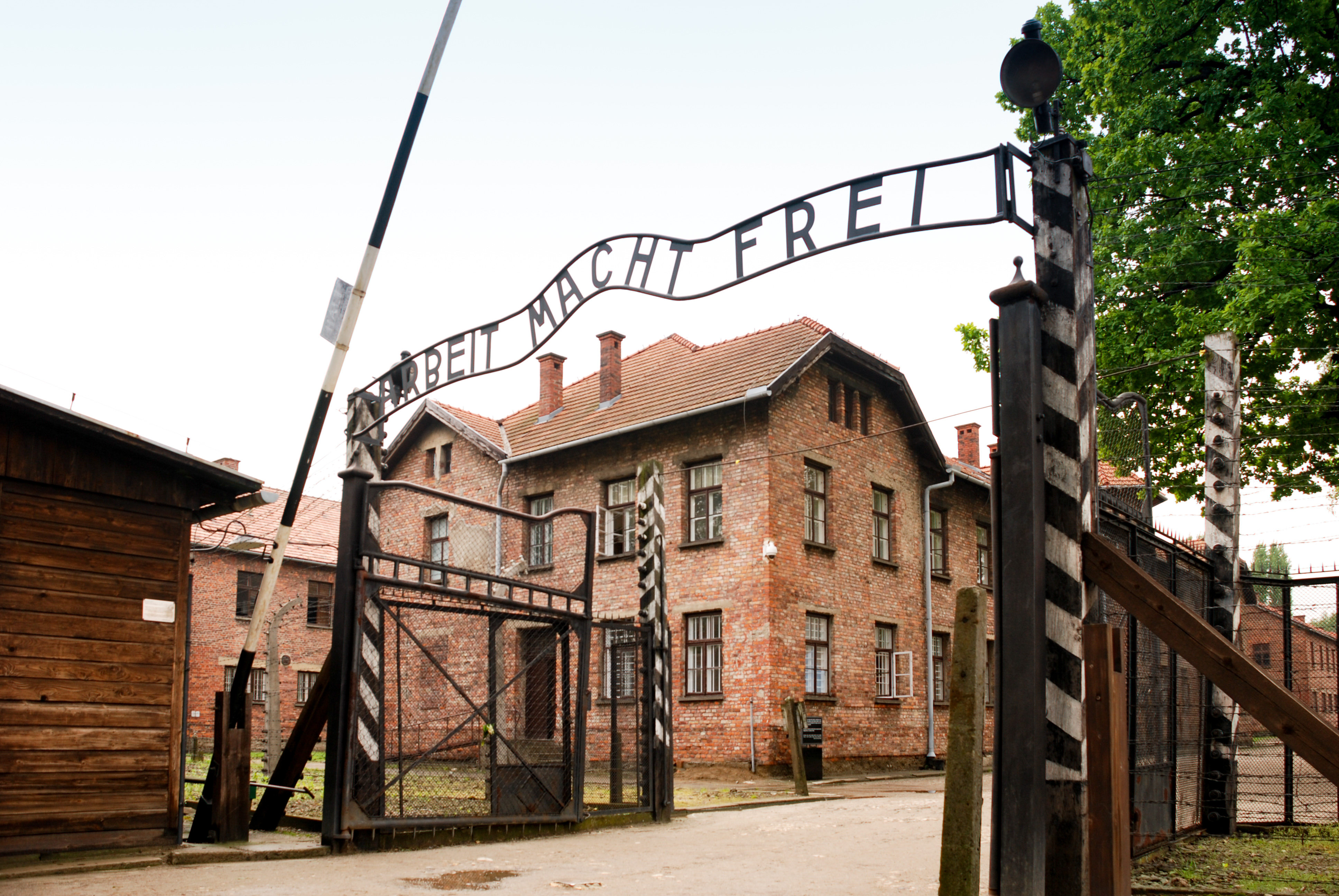 auschwitz main camp