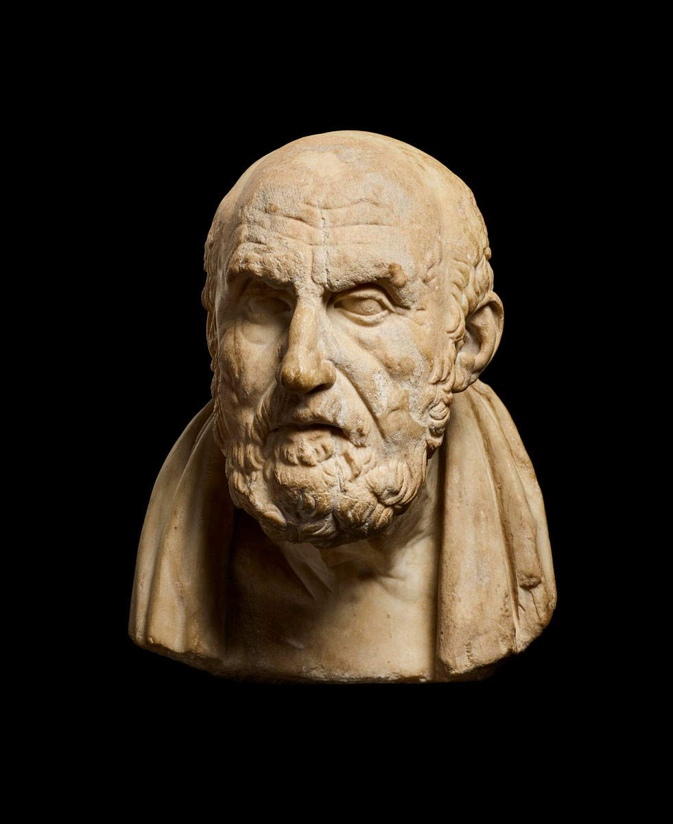 bust of chrysippus