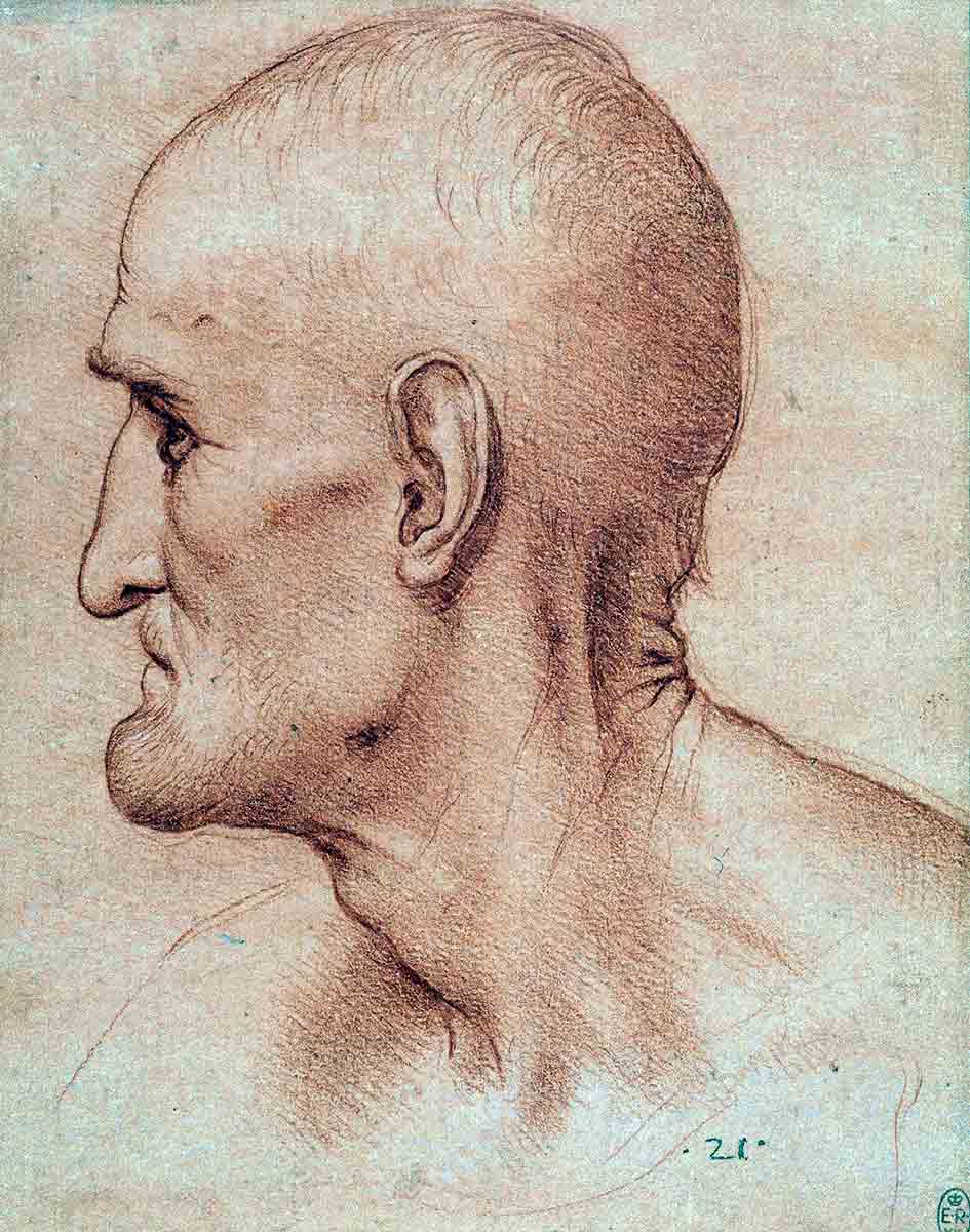 cesare sesto head simon sketch