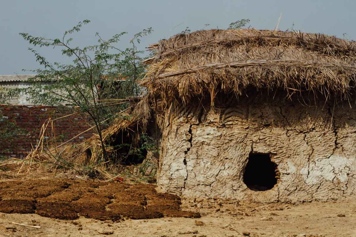 cow dung hut india weird exhibits