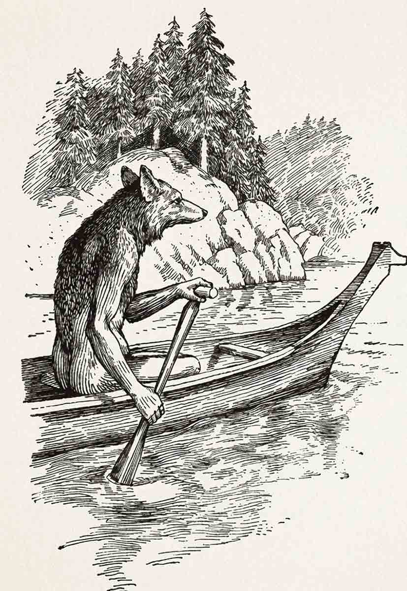 coyote canoeing traditional story