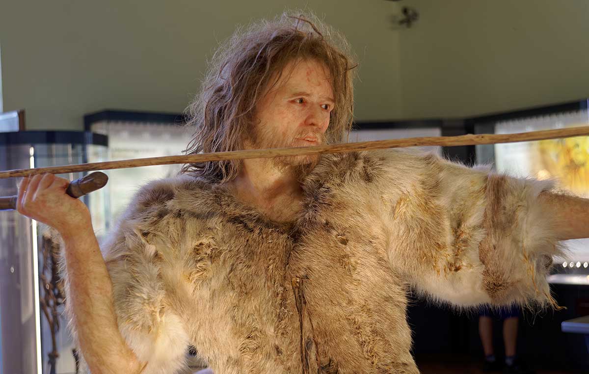 cro magnon spear