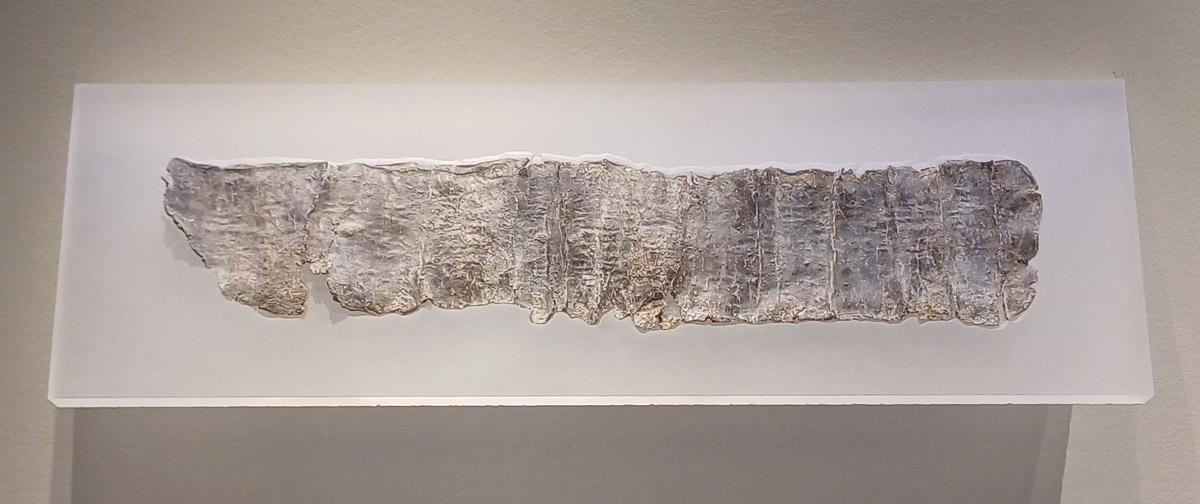 curse tablet pella