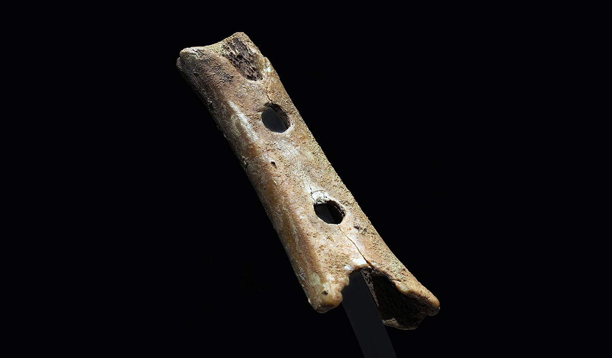 divje babe flute