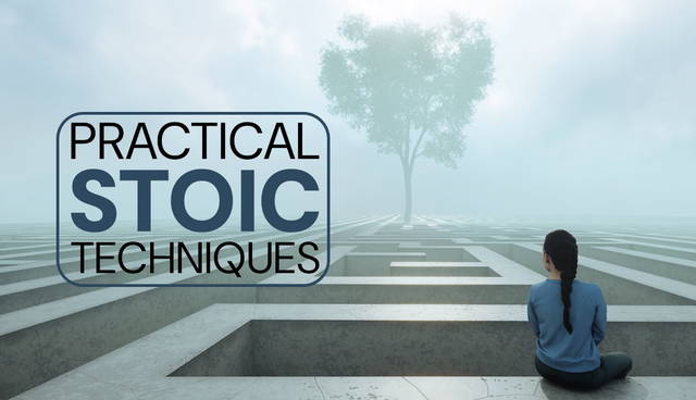 Person overlooking maze with stoicism text