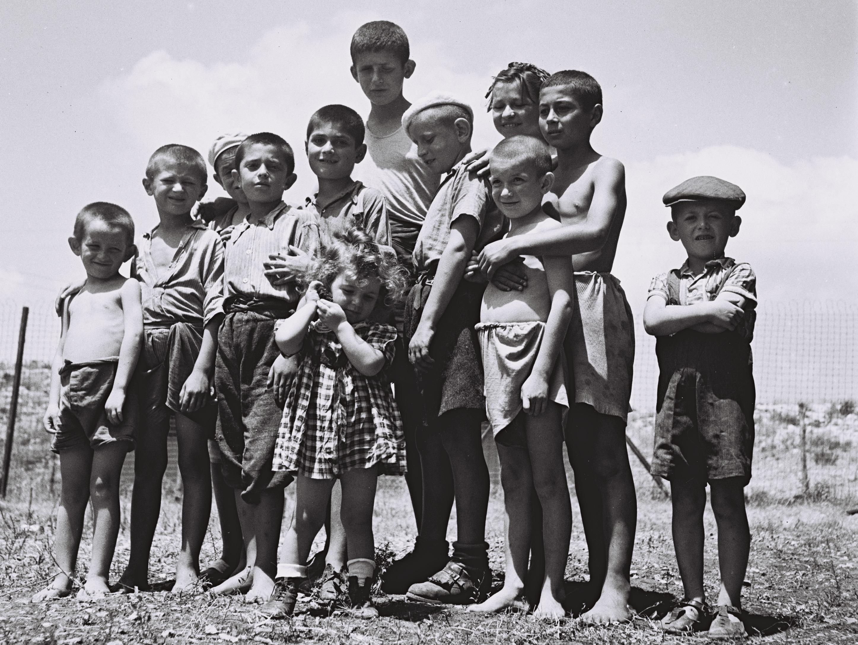 group of orphaned survivors