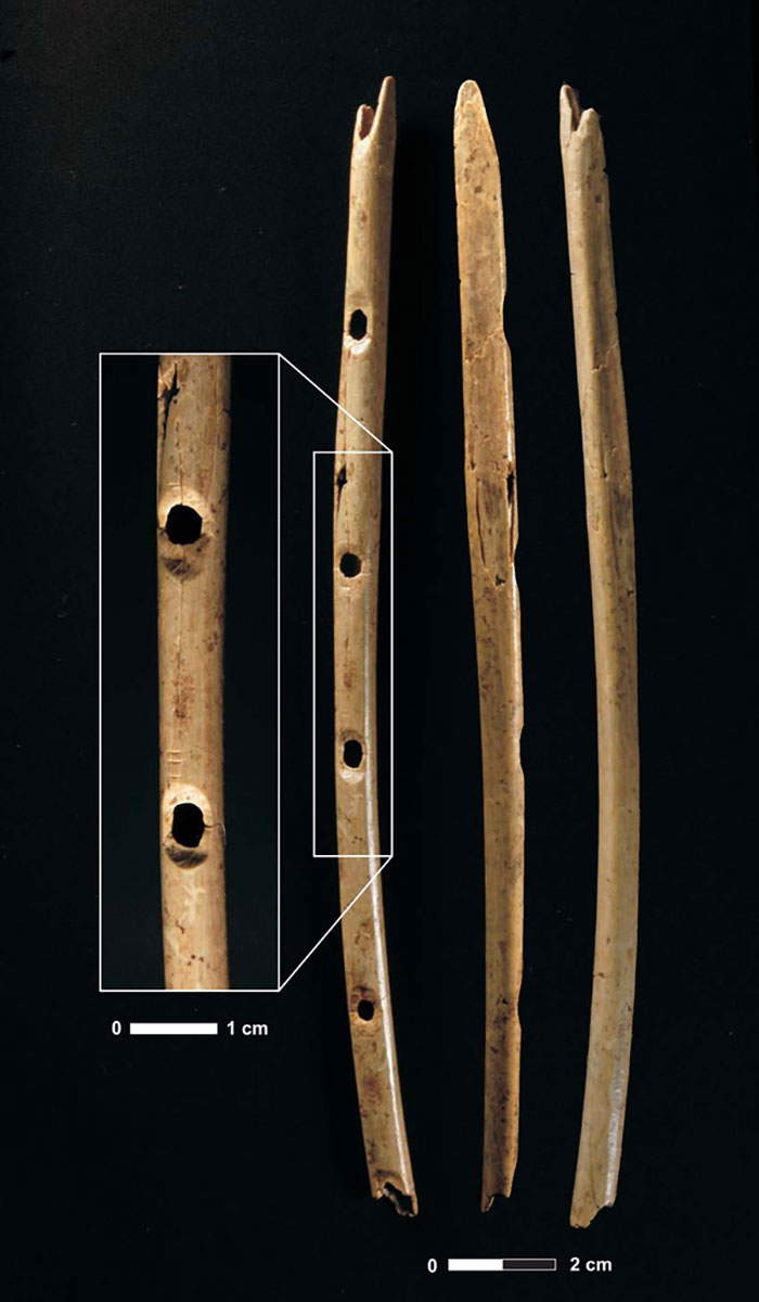 hohle fels flute