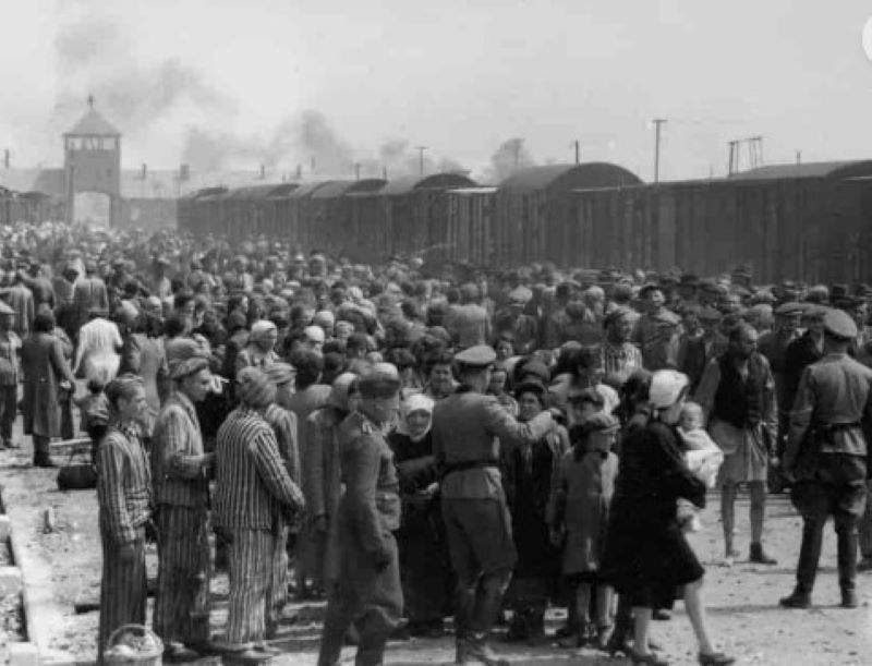 hungarian jews arrive auschwitz