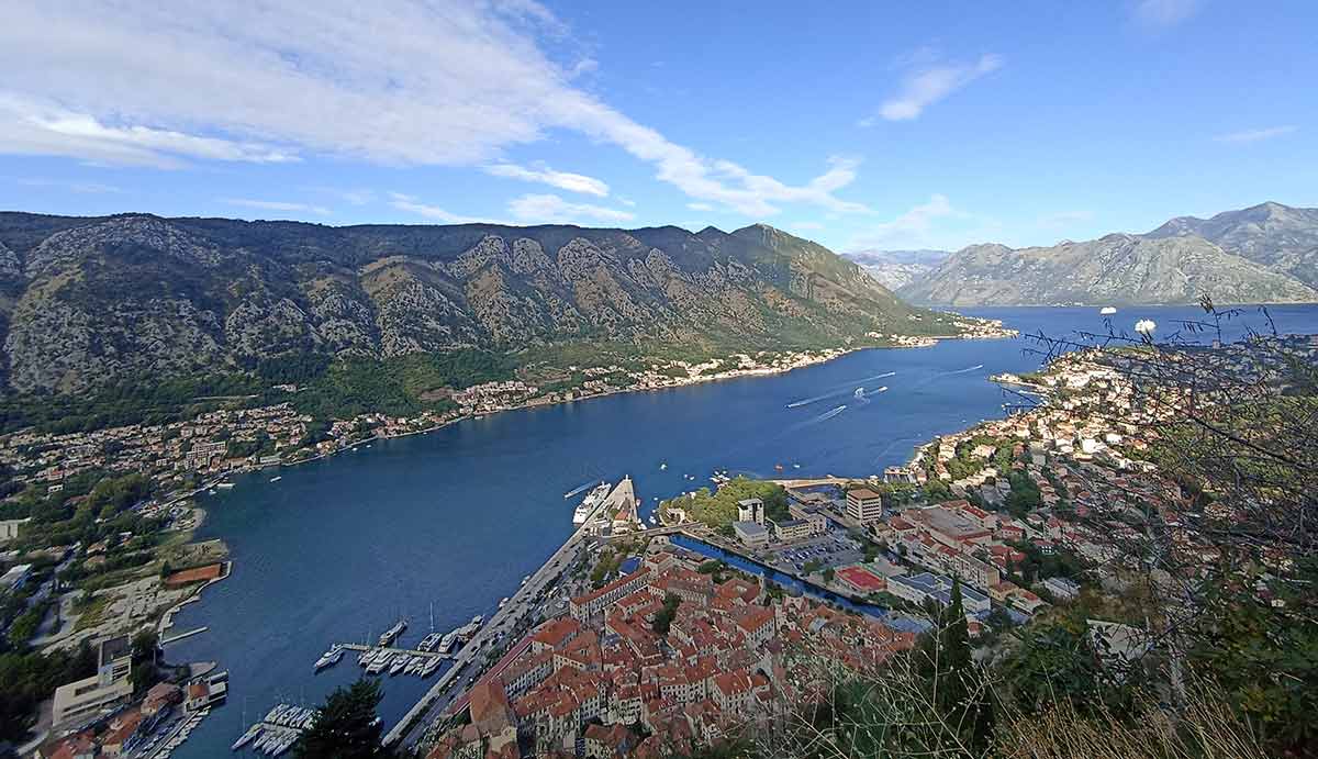 kotor old town panorama