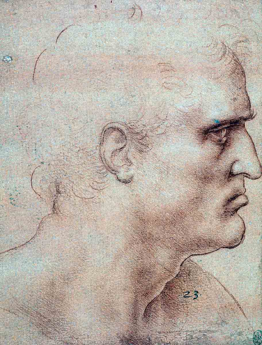 leonardo vinci bartholomew sketch