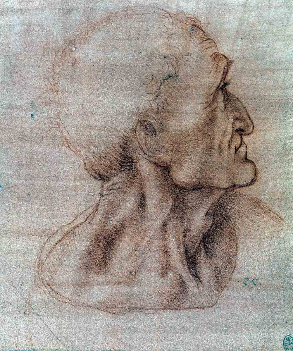 leonardo vinci head judas sketch