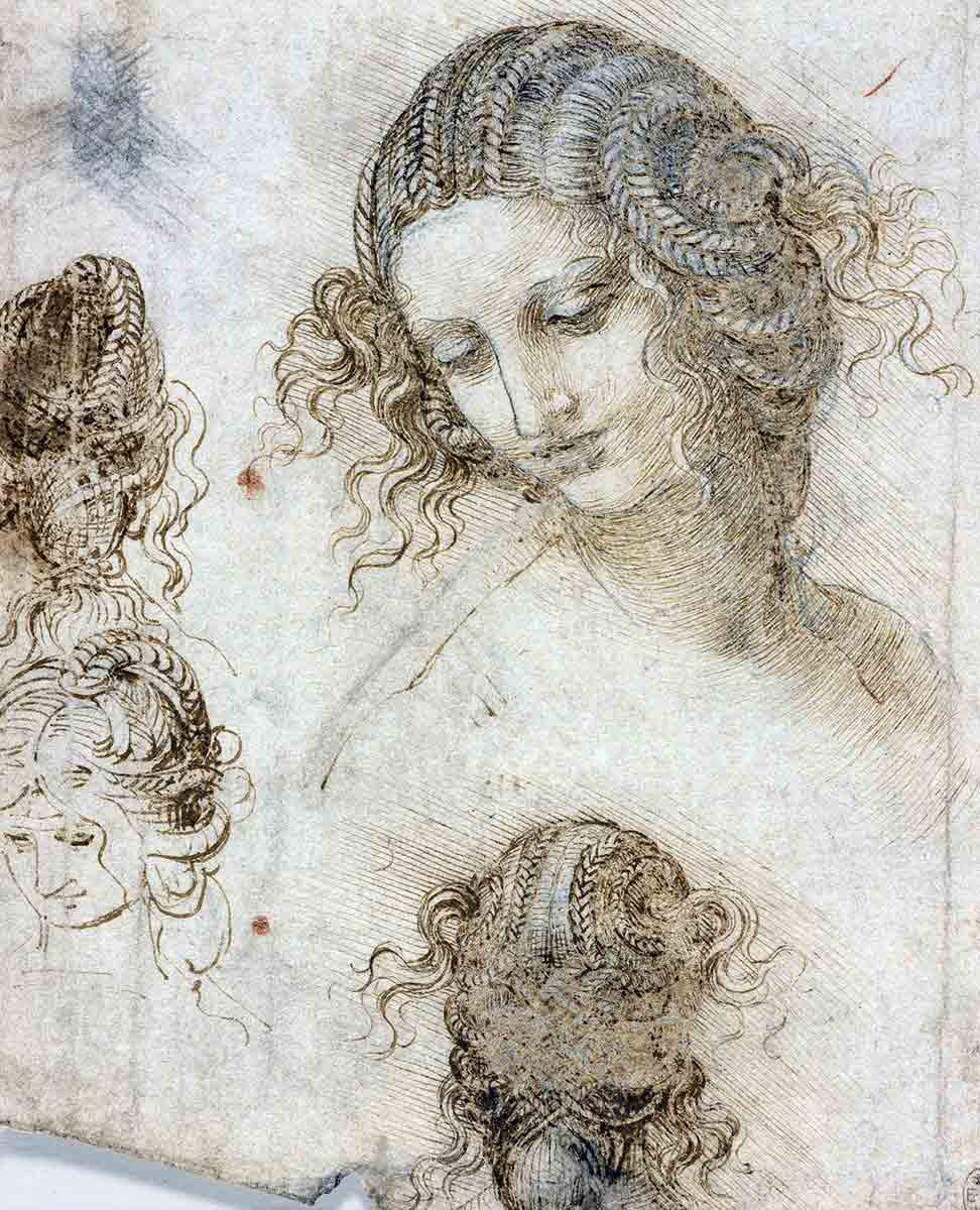 leonardo vinci head leda drawing.