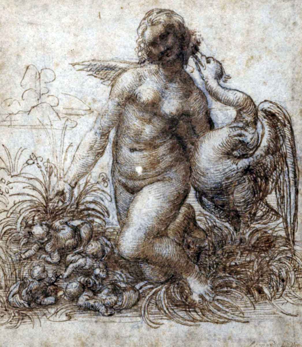 leonardo vinci leda swan chatsworth drawing